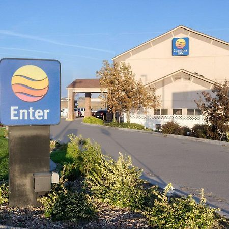 Comfort Inn Garden City Kültér fotó