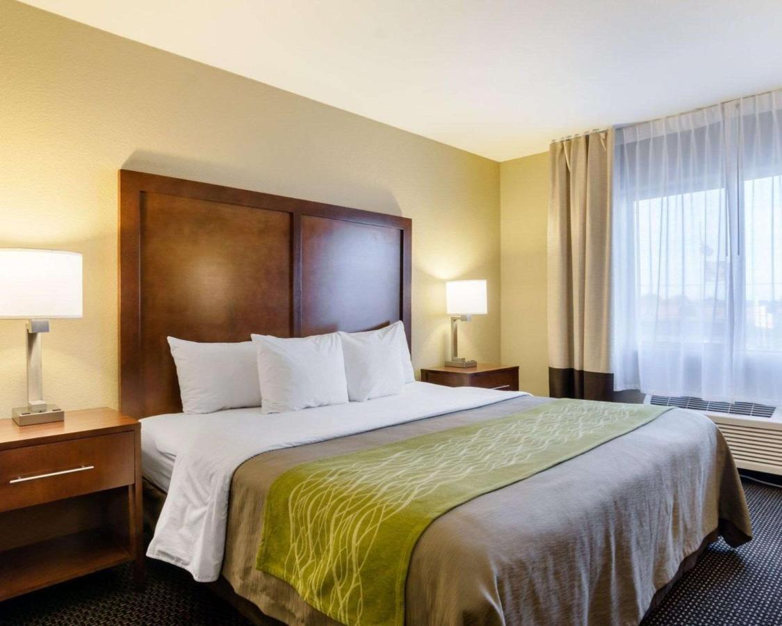 Comfort Inn Garden City Kültér fotó